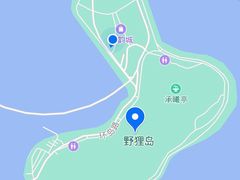 -野狸岛