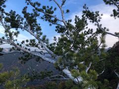 -少华山国家森林公园