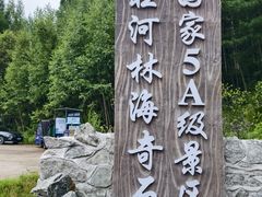 -汤旺河林海奇石景区