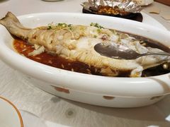 -金狮麟·新豫菜(金码大厦店)