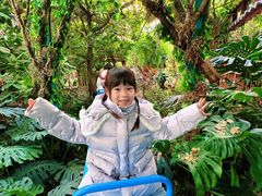 -呀路古热带植物园