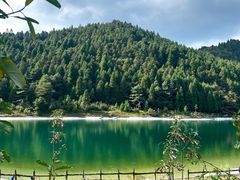 -武陵山森林公园