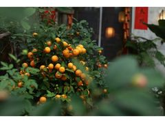 -行人小筑·茶馆(岑村火炉山分店)