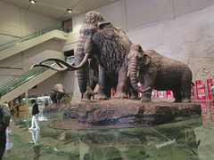 -大庆市博物馆