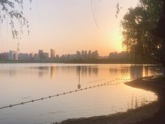 -天鹅湖体育公园