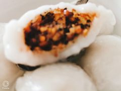 -海丝金凤(金鱼店)