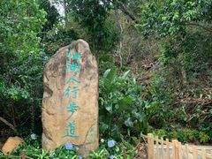 -深圳仙湖植物园