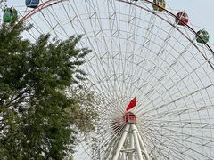 -青城公园