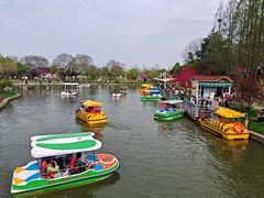 -苏州上方山国家森林公园
