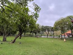 -顺峰山公园