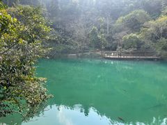 -小七孔景区-六十八级跌水瀑布