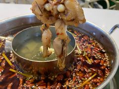 -蛙两只美蛙鱼头火锅(恒茂店)