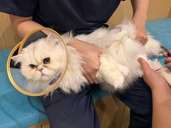-美迦爱-牙专科·兔科·骨科诊疗中心(北苑店)