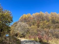 -玉渡山自然风景区