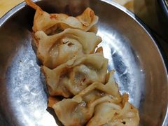 向群锅饺-向群锅饺(登高路店)