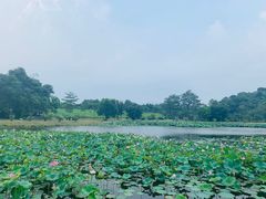 -福建鲤鱼洲酒店