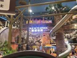 -卡通尼·Safari非洲探索乐园·生日会(金桥国际商业广场店)