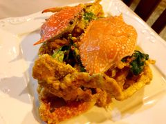 -Red Lobster