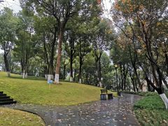 -重庆市江北嘴中央商务区中央公园