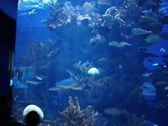 -多彩贵州城极地海洋世界