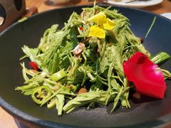 -雀舞云南菜(乐客城店)