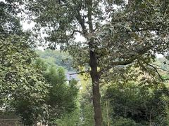 -一江春水·杭帮臻宴(三台山店)