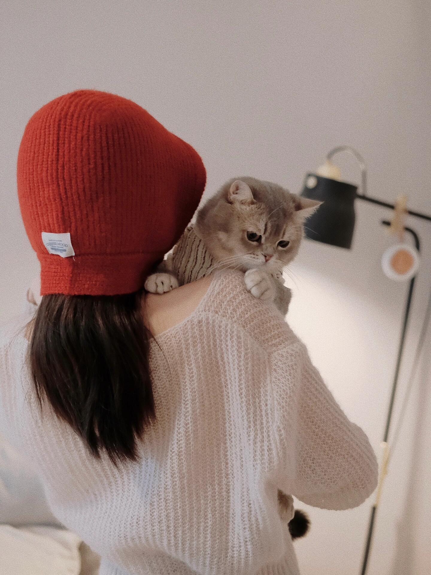 谁懂啊❗️在这里遇到了我的人生小猫