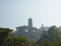 -南沙蒲洲花园