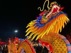 -淄博花灯齐彩城