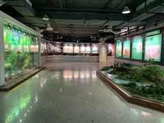 -苏州河梦清园环保主题公园