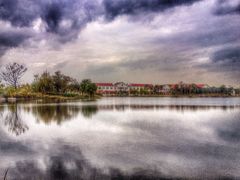 -上海长兴岛郊野公园