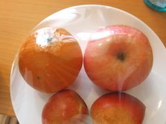 -石家庄万象天成假日酒店