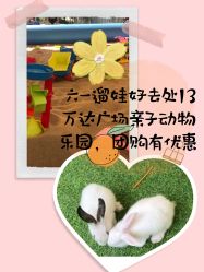 -萌宠亲子动物乐园(槐房万达店)