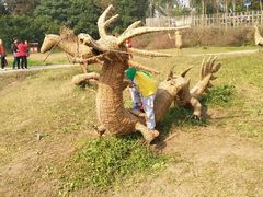 -上海长兴岛郊野公园