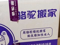 -骆驼日式搬家收纳整理