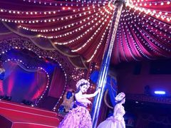 -金东尼人妖秀