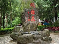 -蝴蝶泉公园