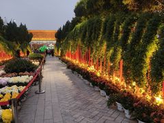 -中国翰园碑林
