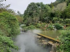 -都江堰中华大熊猫苑
