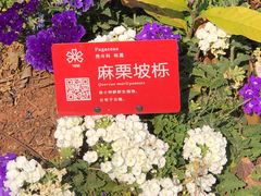 -昆明植物园