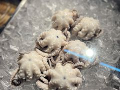 -铭聚章鱼土笋冻(松柏店)