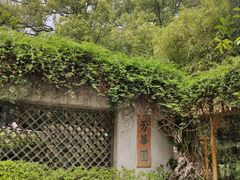 -广州兰圃