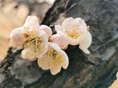 -北京明城墙遗址公园