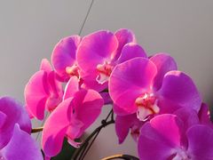 -克茗冰室(光明N次方公园店)