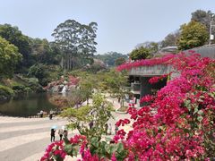 -点都德(广州白云山景区南门店)