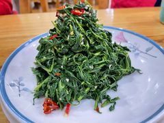 枸杞苗-三益轩(总店)
