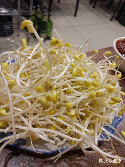 香霸筋头巴脑锅-豆芽-菜-豆芽图片-大庆美食-大众点评网