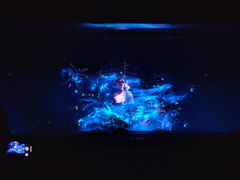 -郑州方特梦幻王国