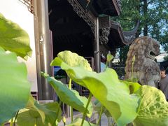 -上海醉白池公园