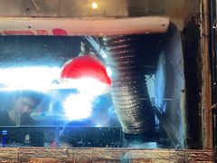 -十里铺铁板鱿鱼